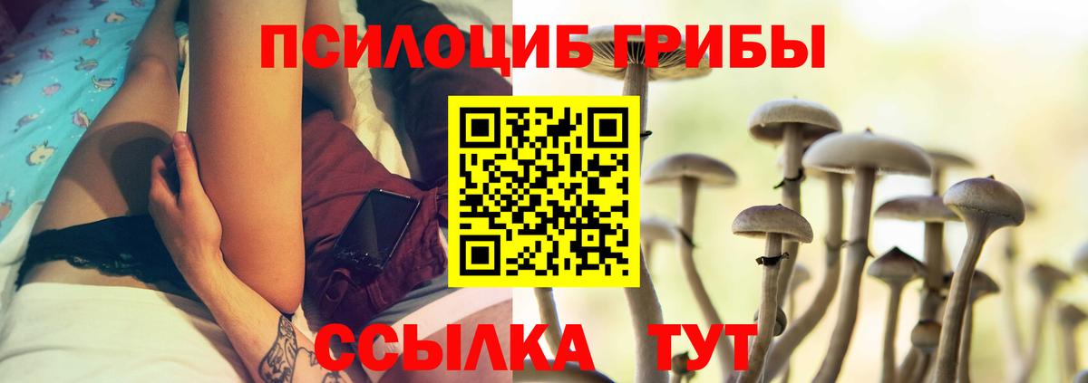 Изобильный  Псилоцибиновые грибы Psilocybine cubensis  Псилоцибиновые грибы прущие грибы  Вход с VPN 